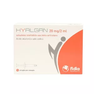 Гиалган Фидия (Hyalgan) шприц 2мл 20мг №5 (5 шт.)