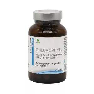 Хлорофилл капс. №60