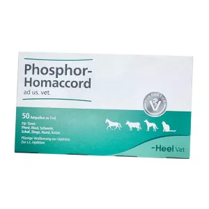 Фосфор гомаккорд для собак (ветеринарный) ампулы №50