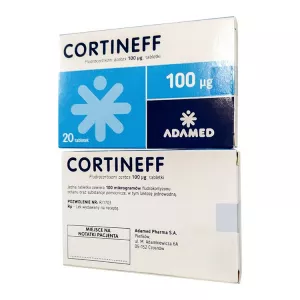 Кортинефф 0,1мг (100мкг) табл. №20