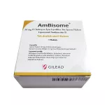 Фото Амбизом (амфотерицин В) Ambisome 50мг №1 порошок для инъекций